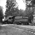 Black Hills Central 2-8-0 69